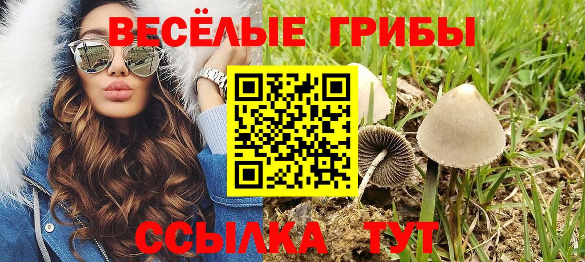 Псилоцибиновые грибы Psilocybine cubensis  Галлюциногенные грибы Psilocybe  Вход с VPN  Елабуга 